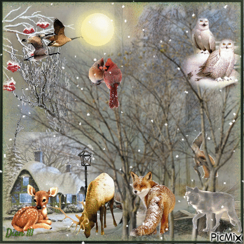 Magical Winter Wonderland - GIF animé gratuit