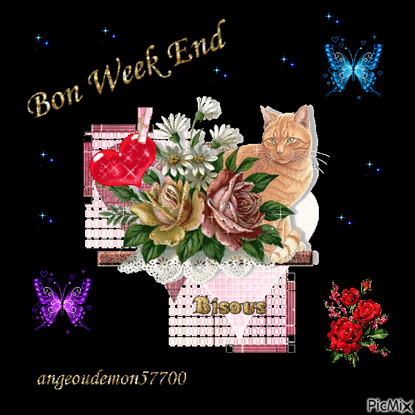 bon week end - Бесплатный анимированный гифка