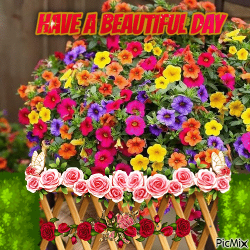 Have A Beautiful Day ROSES FLOWERS (JIGGURL_PIXMIXR) - 無料のアニメーション GIF