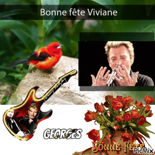 VIVIANE - Bezmaksas animēts GIF