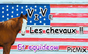 VIVE LES CHEVAUX - GIF animasi gratis