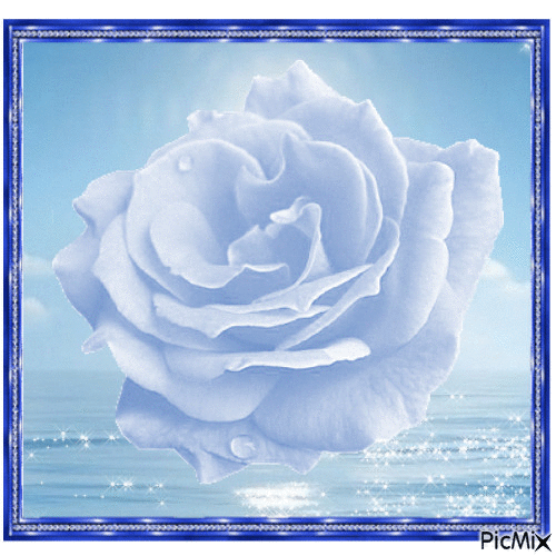 rose bleue - GIF animate gratis