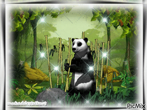 Panda sous les tropiques - Бесплатный анимированный гифка
