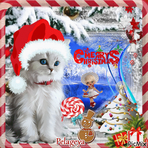 "Christmas Cat" conkurs - Безплатен анимиран GIF