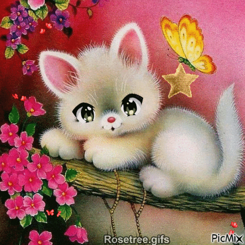 cute kitty - Animovaný GIF zadarmo