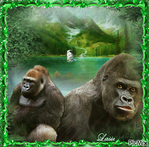 Gorilles - GIF animasi gratis