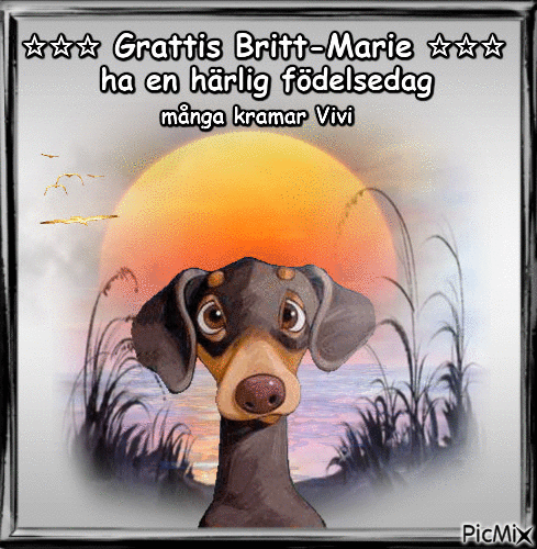 Grattis Britt-Marie 2019 - Zdarma animovaný GIF