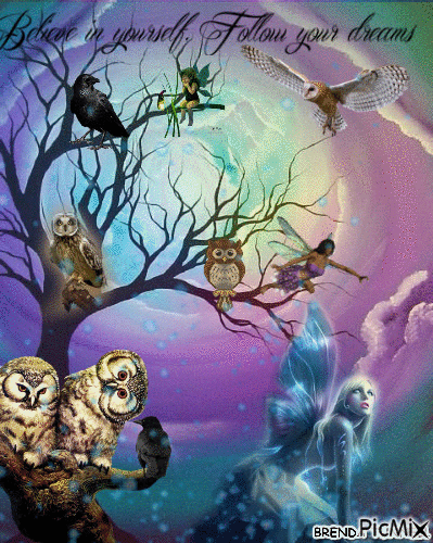 OWL BELIEVE IN YOUR DREAMS - Darmowy animowany GIF