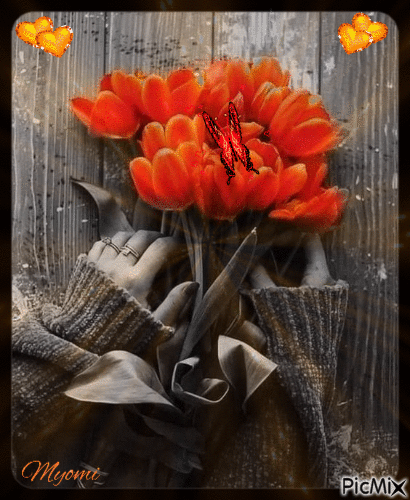 bouquet de fleurs - Gratis animerad GIF