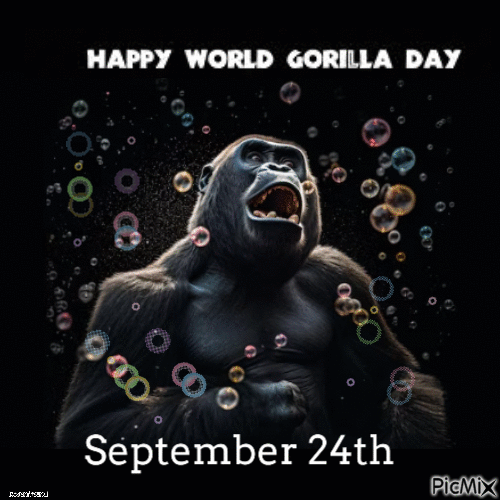 World Gorilla Day - Free animated GIF