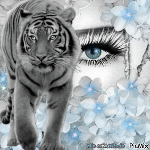 Une femme & un tigre - GIF animasi gratis