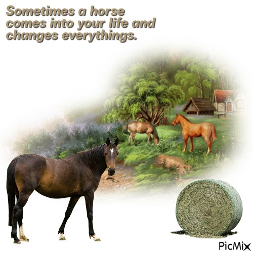 Sumtimes A Horse Comes Into Your Life - PNG gratuit