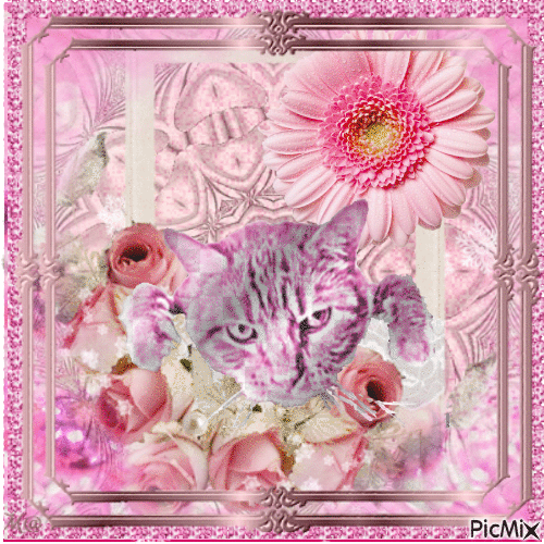 pink cat - Бесплатни анимирани ГИФ