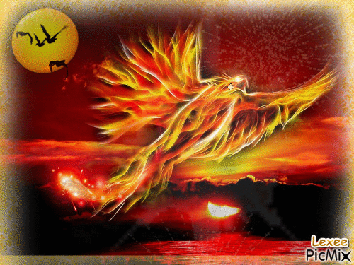 Rise of the Phoenix - Animovaný GIF zadarmo