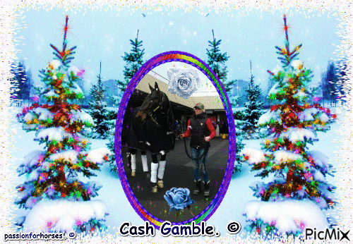 Le champion Cash Gamble. © - GIF เคลื่อนไหวฟรี