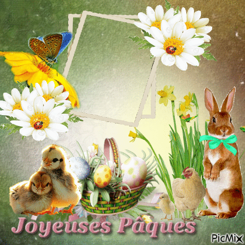 cadre  joyeux paques - Zdarma animovaný GIF