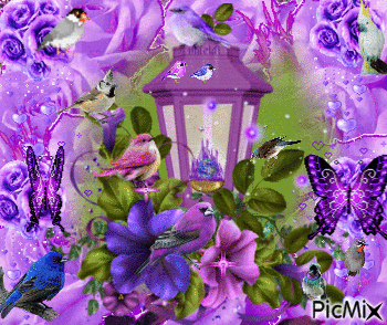purple rosesa purple lantern in the middle10 birds moving. some pink hearts dangling, two butterflies, a light in the lantern, and some sparkles. - Gratis animeret GIF