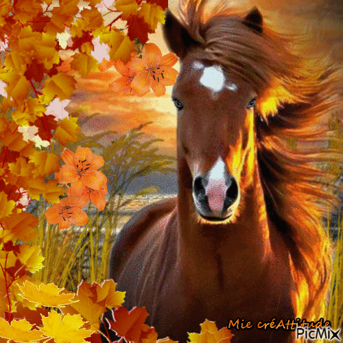 L'automne & le cheval - Free animated GIF