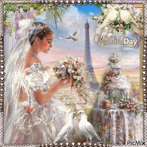 Porträt einer Braut in Paris - Darmowy animowany GIF