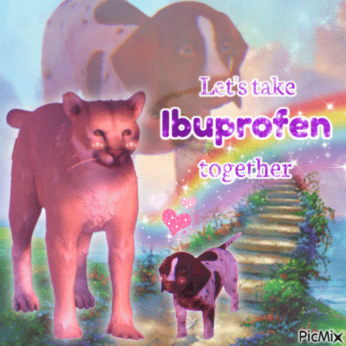 Let's take Ibuprofen together LiS2 - Free animated GIF