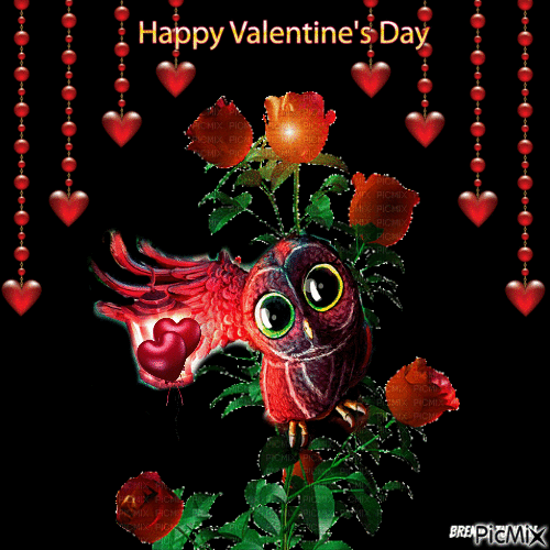 valentine owl - Ücretsiz animasyonlu GIF