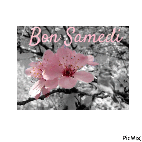 Bon Samedi - Δωρεάν κινούμενο GIF