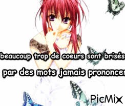 proverbe 14 - Free PNG