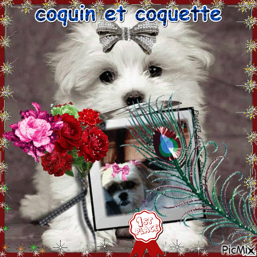 coquin et coquette - Бесплатный анимированный гифка