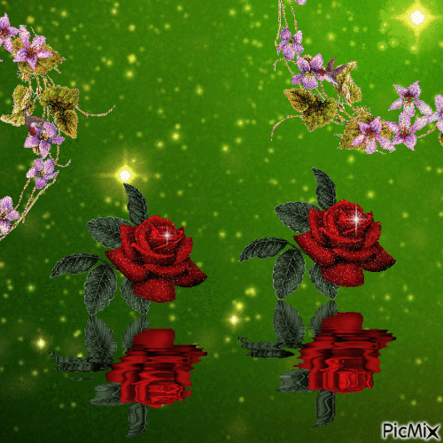 Noel des roses - Ingyenes animált GIF