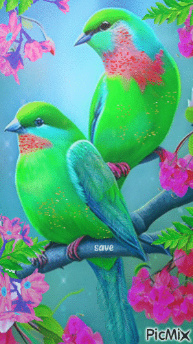 pajarillos verdes - Free animated GIF