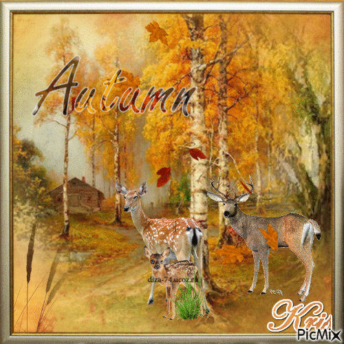 autumn 🌹🌼 - Nemokamas animacinis gif