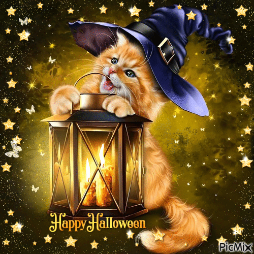 Happy Halloween Cat and Lantern - Безплатен анимиран GIF