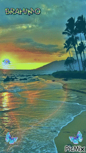la plage et le soleil - Animovaný GIF zadarmo