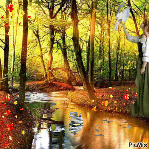 Herfstbomen zonsondergang vrouw met een vogel en water - GIF animasi gratis
