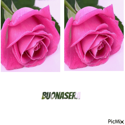 Buonasera - Бесплатный анимированный гифка