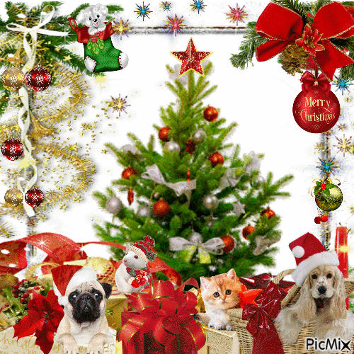 Little Furry Christmas Gifts - Free animated GIF