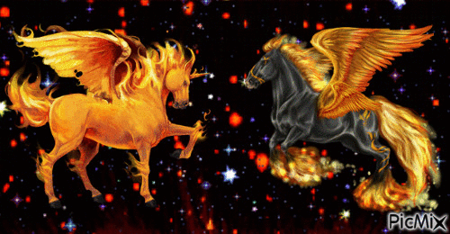 horses - Zdarma animovaný GIF