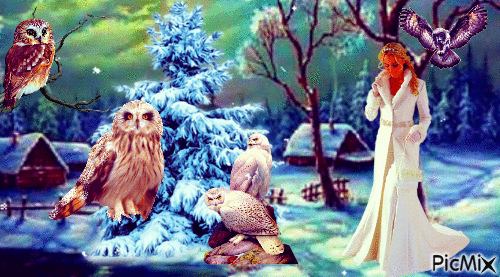 owl - GIF animado grátis