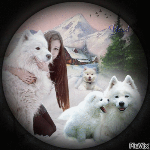 Con los perros en la nieve.. - 免费动画 GIF