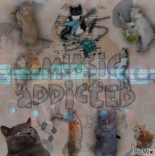 Mad cats - Бесплатни анимирани ГИФ