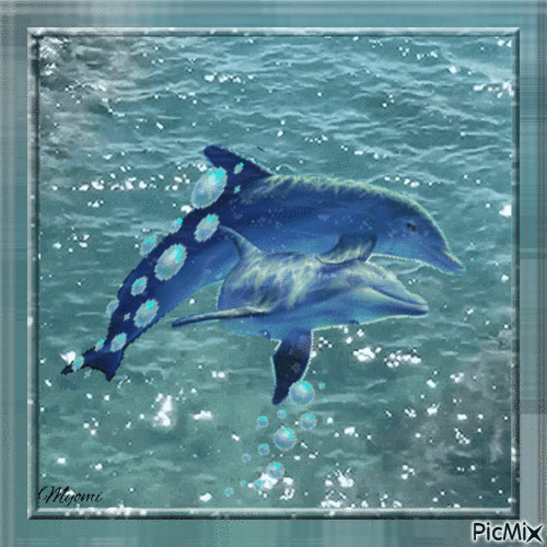 dauphins - Δωρεάν κινούμενο GIF