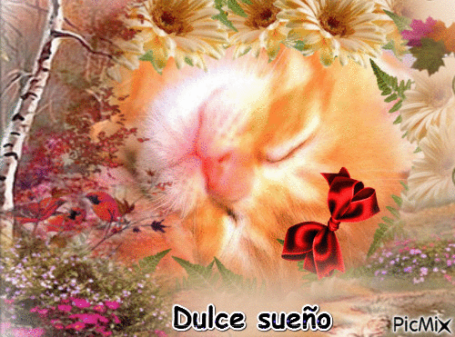 Dulce sueño - Безплатен анимиран GIF