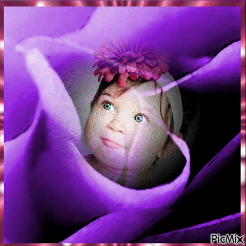 Bébé dans une rose - GIF animado grátis
