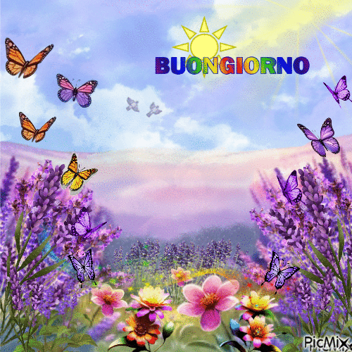 Buongiorno -Fiori di Lavanda - Бесплатный анимированный гифка
