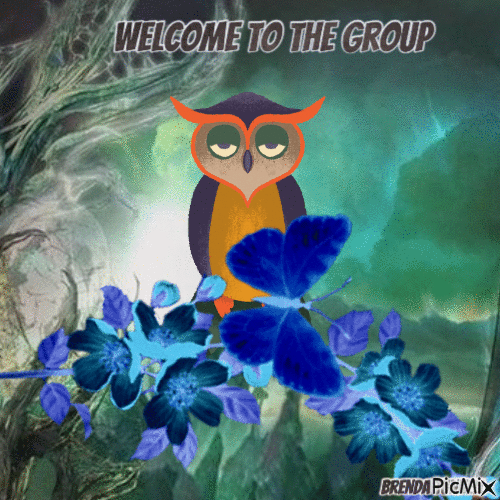 welcome owl - Kostenlose animierte GIFs