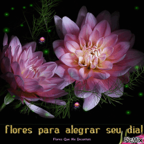 Flores para alegrar se Dia! - Бесплатный анимированный гифка