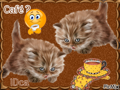 Café du chat - GIF animate gratis