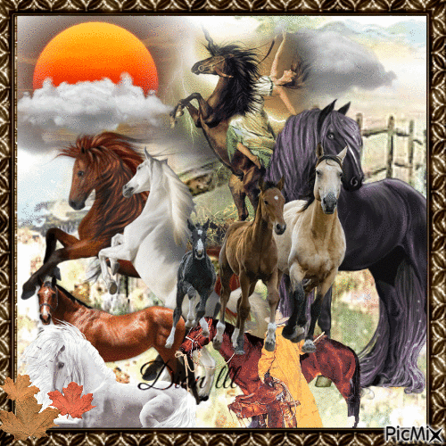 A Beautiful Array of Wild Horse's - Бесплатный анимированный гифка