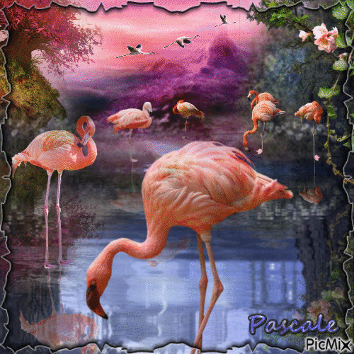 Nature 9 .. Le parc des Flamands... - Darmowy animowany GIF