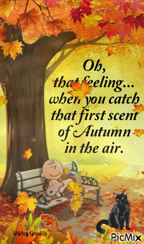 Autumn in the air - GIF animate gratis